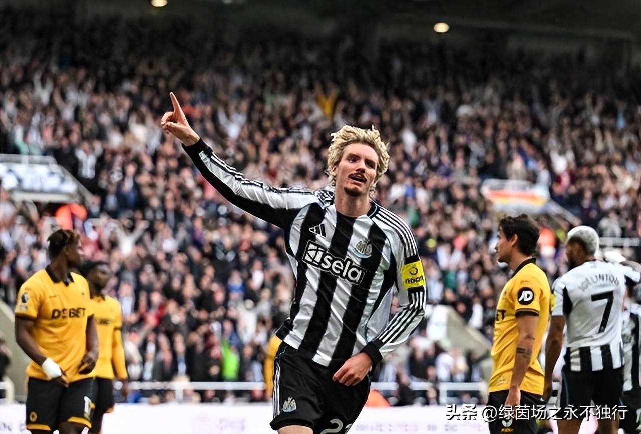 今夜欧冠传出新动向，萨克拉门托国王官宣签约，管理层表态：悬念犹存，训练强度明显提升的简单介绍